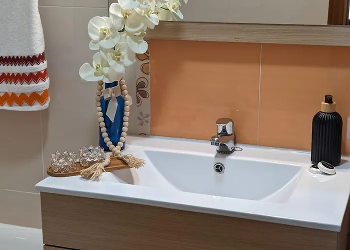 Servic 公寓 弗里希利亚纳